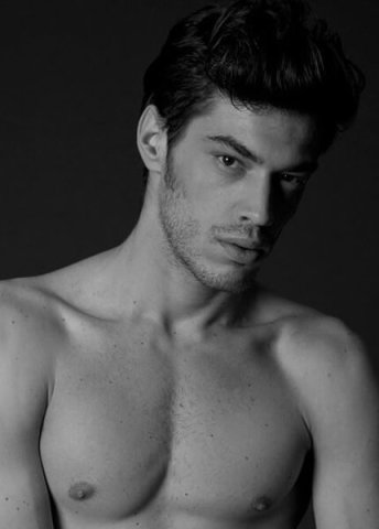 Andrea F.